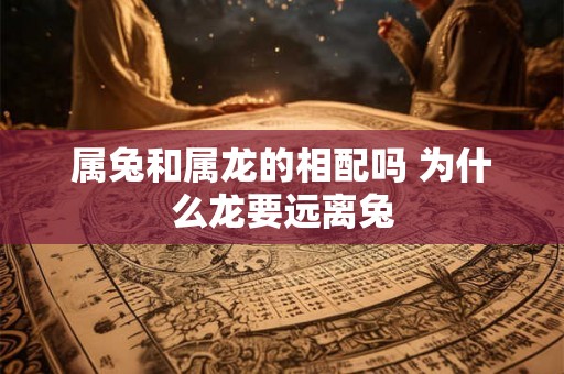 属兔和属龙的相配吗 为什么龙要远离兔 属兔和属龙的相配吗 为什么龙要远离兔