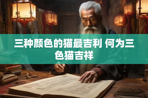 三种颜色的猫最吉利 何为三色猫吉祥 三种颜色的猫最吉利 何为三色猫吉祥
