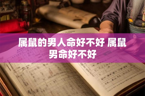 属鼠的男人命好不好 属鼠男命好不好 属鼠的男人命好不好 属鼠男命好不好