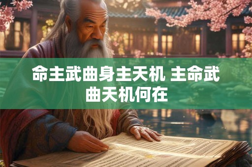 命主武曲身主天机 主命武曲天机何在 命主武曲身主天机 主命武曲天机何在
