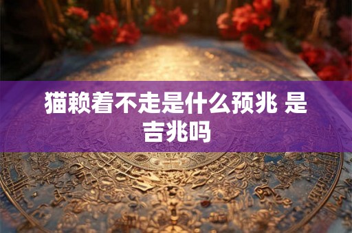 猫赖着不走是什么预兆 是吉兆吗 猫赖着不走是什么预兆 是吉兆吗
