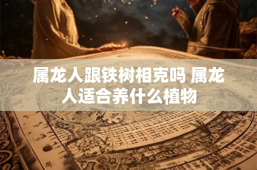 属龙人跟铁树相克吗 属龙人适合养什么植物