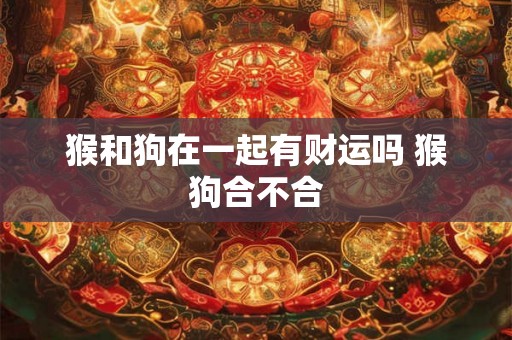 猴和狗在一起有财运吗 猴狗合不合
