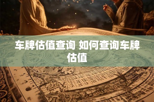 车牌估值查询 如何查询车牌估值 车牌估值查询 如何查询车牌估值