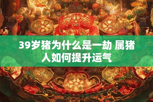 39岁猪为什么是一劫 属猪人如何提升运气 39岁猪为什么是一劫 属猪人如何提升运气