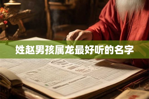姓赵男孩属龙最好听的名字 姓赵男孩属龙最好听的名字
