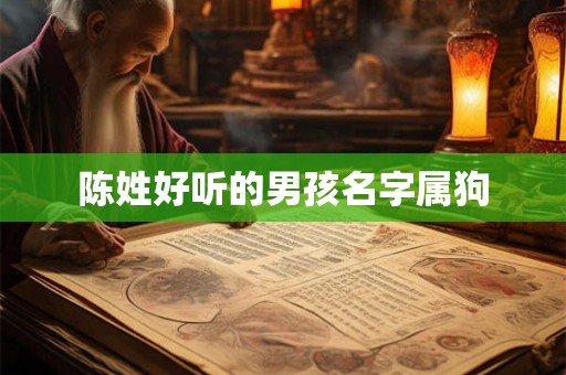 陈姓好听的男孩名字属狗