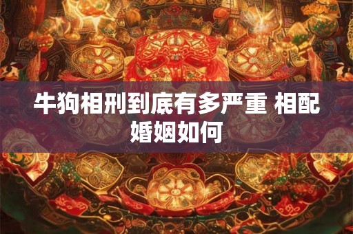 牛狗相刑到底有多严重 相配婚姻如何 牛狗相刑到底有多严重 相配婚姻如何
