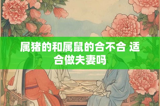 属猪的和属鼠的合不合 适合做夫妻吗
