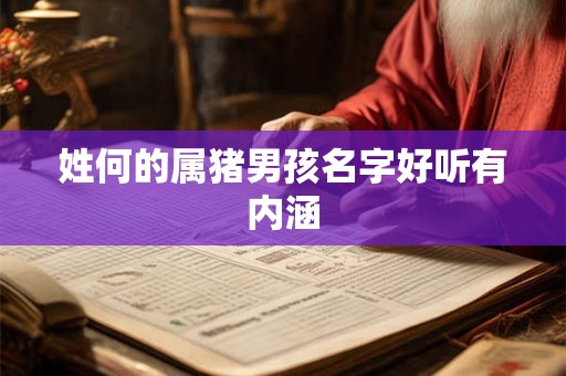 姓何的属猪男孩名字好听有内涵 姓何的属猪男孩名字好听有内涵