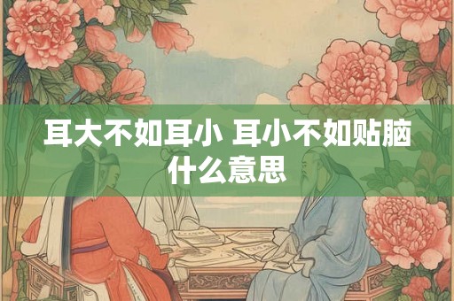 耳大不如耳小 耳小不如贴脑什么意思 耳大不如耳小 耳小不如贴脑什么意思