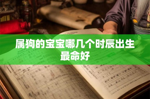 属狗的宝宝哪几个时辰出生最命好