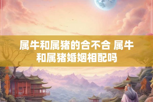 属牛和属猪的合不合 属牛和属猪婚姻相配吗 属牛和属猪的合不合 属牛和属猪婚姻相配吗