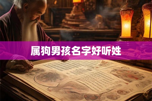 属狗男孩名字好听姓 属狗男孩名字好听姓