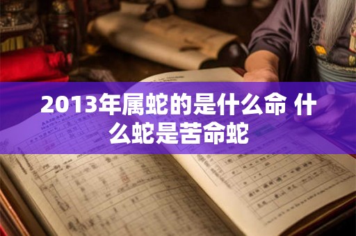 2013年属蛇的是什么命 什么蛇是苦命蛇 2013年属蛇的是什么命 什么蛇是苦命蛇
