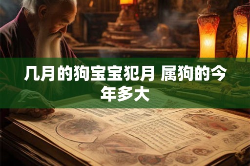 几月的狗宝宝犯月 属狗的今年多大
