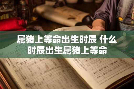 属猪上等命出生时辰 什么时辰出生属猪上等命 属猪上等命出生时辰 什么时辰出生属猪上等命