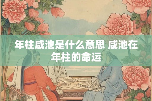 年柱咸池是什么意思 咸池在年柱的命运 年柱咸池是什么意思 咸池在年柱的命运