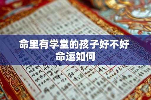 命里有学堂的孩子好不好 命运如何 命里有学堂的孩子好不好 命运如何