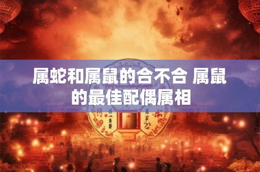 属蛇和属鼠的合不合 属鼠的最佳配偶属相 属蛇和属鼠的合不合 属鼠的最佳配偶属相