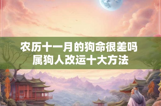 农历十一月的狗命很差吗 属狗人改运十大方法