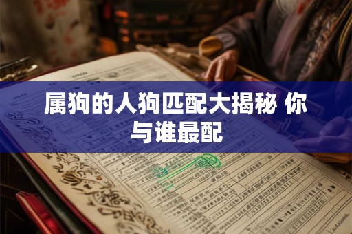属狗的人狗匹配大揭秘 你与谁最配 属狗的人狗匹配大揭秘 你与谁最配