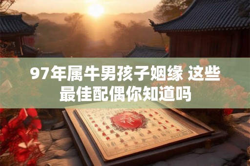 97年属牛男孩子姻缘 这些最佳配偶你知道吗 97年属牛男孩子姻缘 这些最佳配偶你知道吗