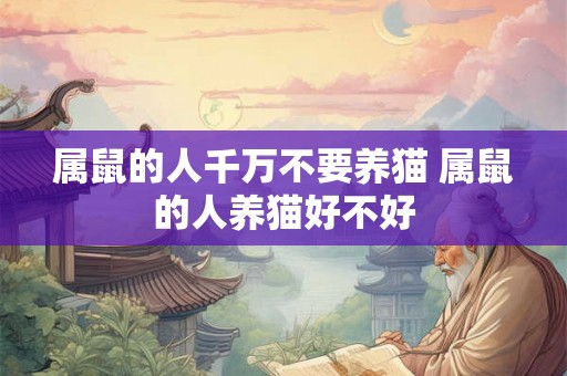 属鼠的人千万不要养猫 属鼠的人养猫好不好 属鼠的人千万不要养猫 属鼠的人养猫好不好