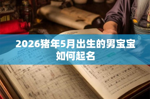 2026猪年5月出生的男宝宝如何起名 2026猪年5月出生的男宝宝如何起名