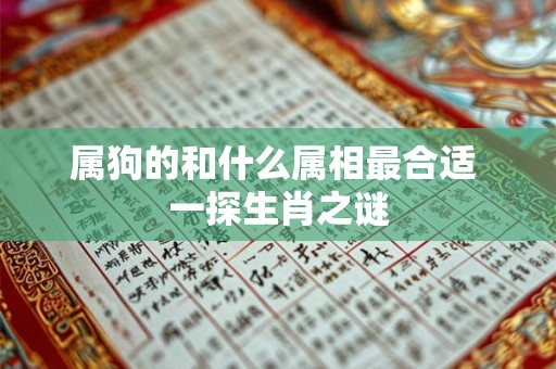属狗的和什么属相最合适 一探生肖之谜 属狗的和什么属相最合适 一探生肖之谜