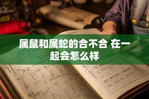 属鼠和属蛇的合不合 在一起会怎么样 属鼠和属蛇的合不合 在一起会怎么样