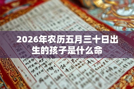 2026年农历五月三十日出生的孩子是什么命