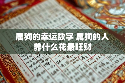 属狗的幸运数字 属狗的人养什么花最旺财 属狗的幸运数字 属狗的人养什么花最旺财