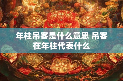 年柱吊客是什么意思 吊客在年柱代表什么 年柱吊客是什么意思 吊客在年柱代表什么