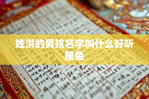 姓洪的男孩名字叫什么好听属兔 姓洪的男孩名字叫什么好听属兔
