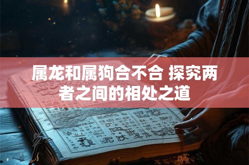属龙和属狗合不合 探究两者之间的相处之道