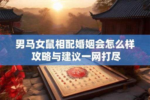 男马女鼠相配婚姻会怎么样 攻略与建议一网打尽 男马女鼠相配婚姻会怎么样 攻略与建议一网打尽