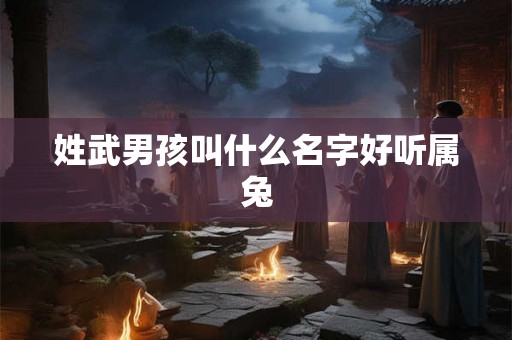 姓武男孩叫什么名字好听属兔