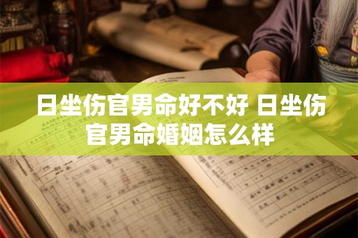 日坐伤官男命好不好 日坐伤官男命婚姻怎么样 日坐伤官男命好不好 日坐伤官男命婚姻怎么样