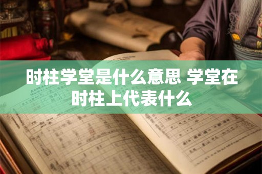 时柱学堂是什么意思 学堂在时柱上代表什么 时柱学堂是什么意思 学堂在时柱上代表什么