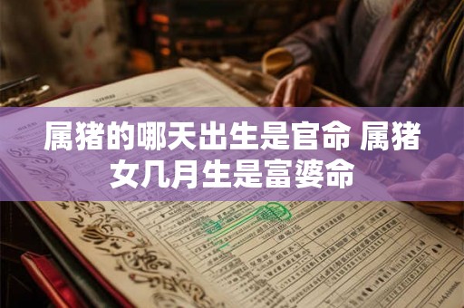 属猪的哪天出生是官命 属猪女几月生是富婆命