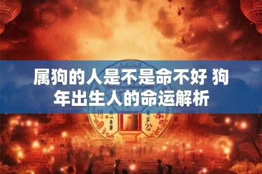 属狗的人是不是命不好 狗年出生人的命运解析 属狗的人是不是命不好 狗年出生人的命运解析