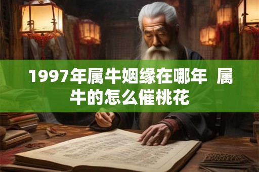 1997年属牛姻缘在哪年  属牛的怎么催桃花