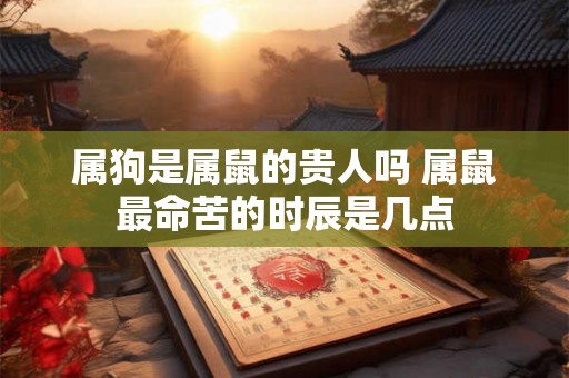 属狗是属鼠的贵人吗 属鼠最命苦的时辰是几点 属狗是属鼠的贵人吗 属鼠最命苦的时辰是几点