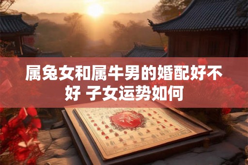 属兔女和属牛男的婚配好不好 子女运势如何