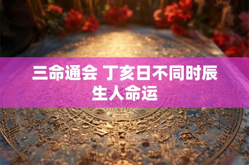 三命通会 丁亥日不同时辰生人命运
