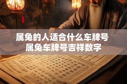 属兔的人适合什么车牌号 属兔车牌号吉祥数字 属兔的人适合什么车牌号 属兔车牌号吉祥数字