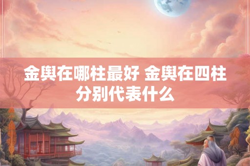 金舆在哪柱最好 金舆在四柱分别代表什么