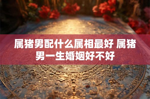 属猪男配什么属相最好 属猪男一生婚姻好不好 属猪男配什么属相最好 属猪男一生婚姻好不好