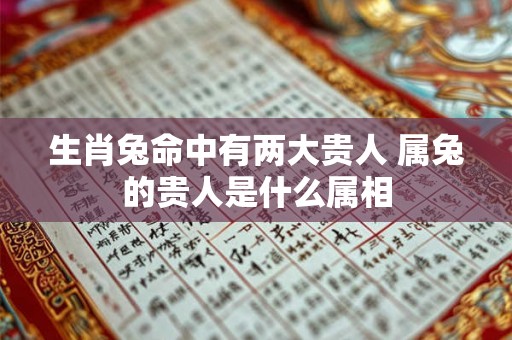 生肖兔命中有两大贵人 属兔的贵人是什么属相 生肖兔命中有两大贵人 属兔的贵人是什么属相